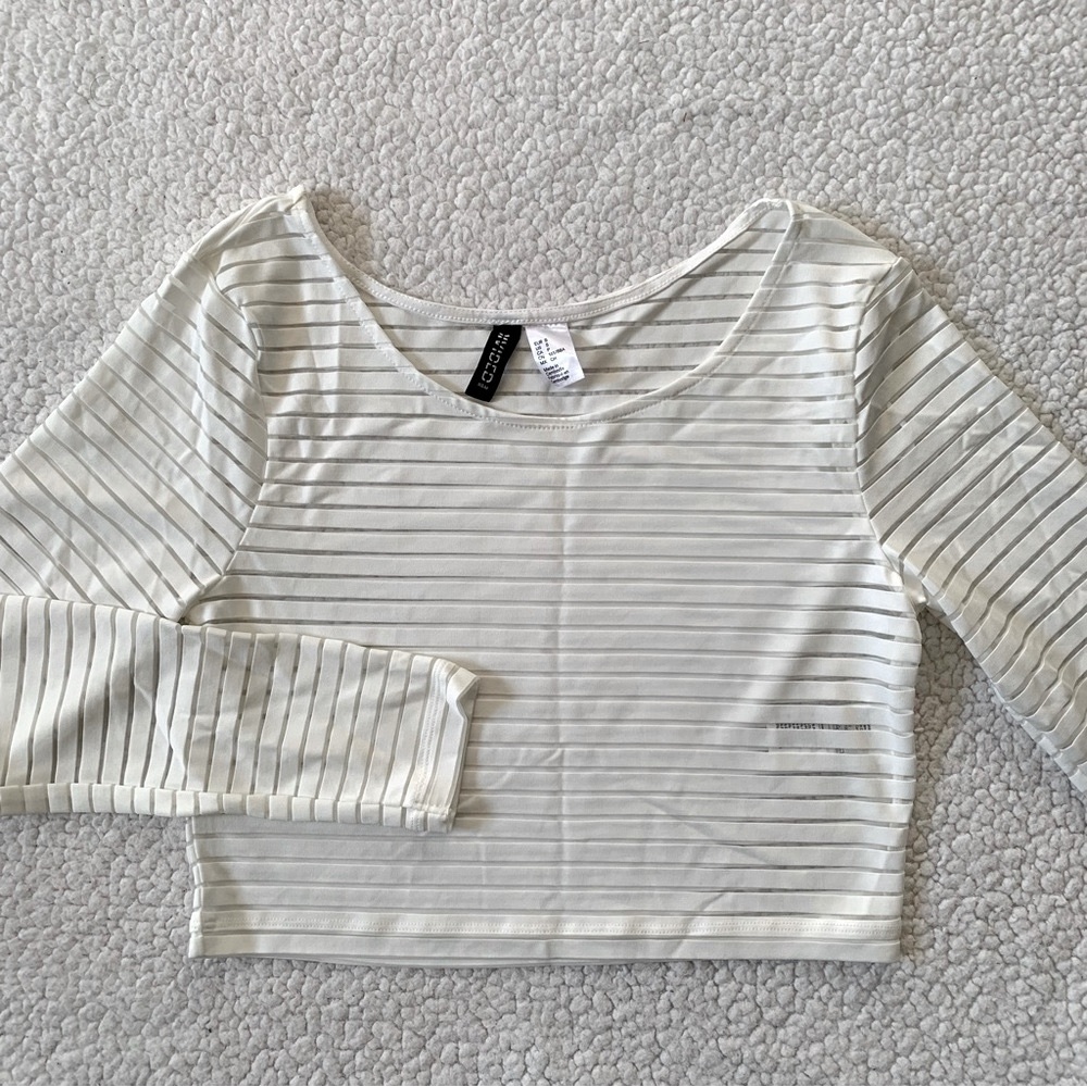 H&M Cropped Transparent Long Sleeve Top